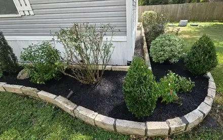 Brick-edged corner bed with evergreens and black mulch