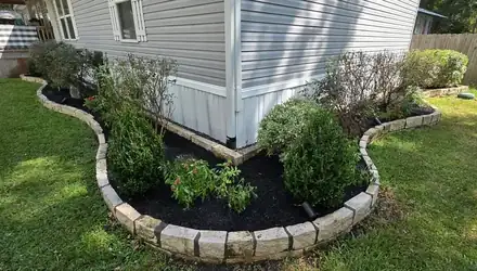 Brick-edged corner bed with evergreens and black mulch (photo 2 of 3)