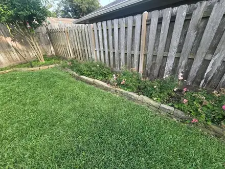 Backyard lawn with a stone-edged bed along the fence