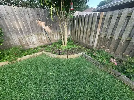 Backyard lawn with a stone-edged bed along the fence (photo 3 of 8)