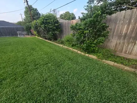 Backyard lawn with a stone-edged bed along the fence (photo 5 of 8)