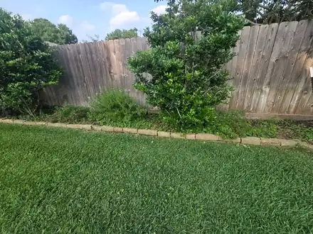 Backyard lawn with a stone-edged bed along the fence (photo 6 of 8)