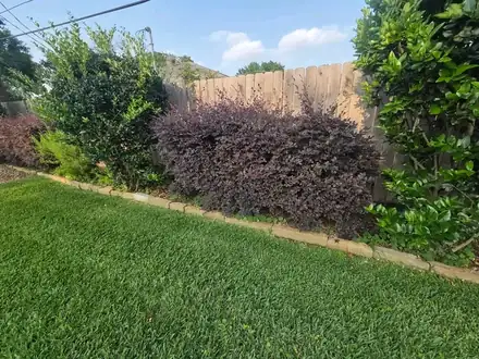 Backyard lawn with a stone-edged bed along the fence (photo 7 of 8)