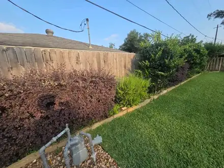 Backyard lawn with a stone-edged bed along the fence (photo 8 of 8)