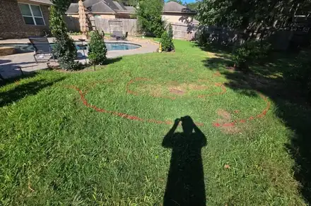 Flagstone patio with raised planter beds (photo 1 of 8)