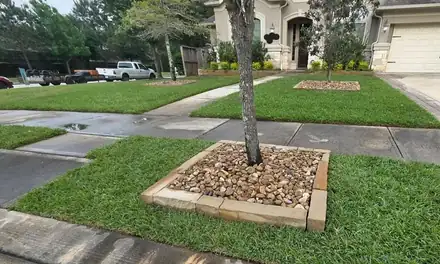 Front yard with a river rock ring around a tree