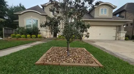 Front yard with a river rock ring around a tree (photo 3 of 8)