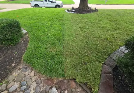 Lawn being leveled and repaired (photo 5 of 8)