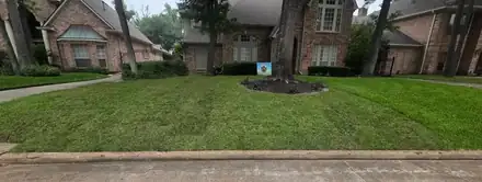 Lawn being leveled and repaired (photo 7 of 8)