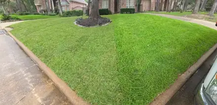 Lawn being leveled and repaired (photo 8 of 8)