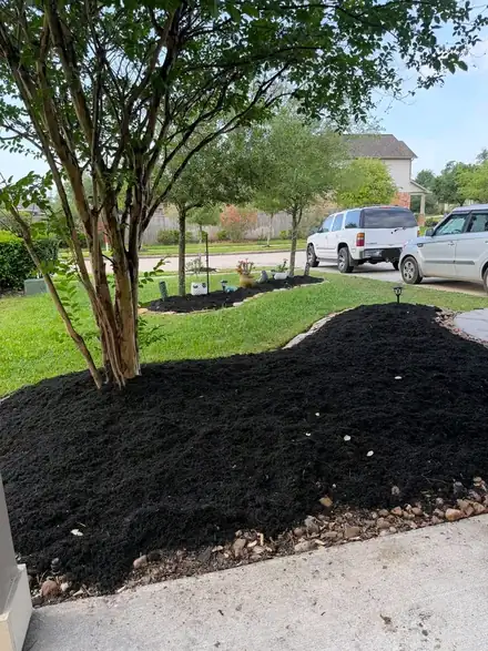 Flower bed with black mulch and a natural stone border (photo 8 of 8)