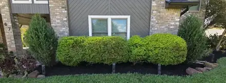Rounded shrubs in a mulched bed along a house (photo 3 of 5)