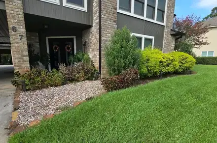 Rounded shrubs in a mulched bed along a house (photo 4 of 5)